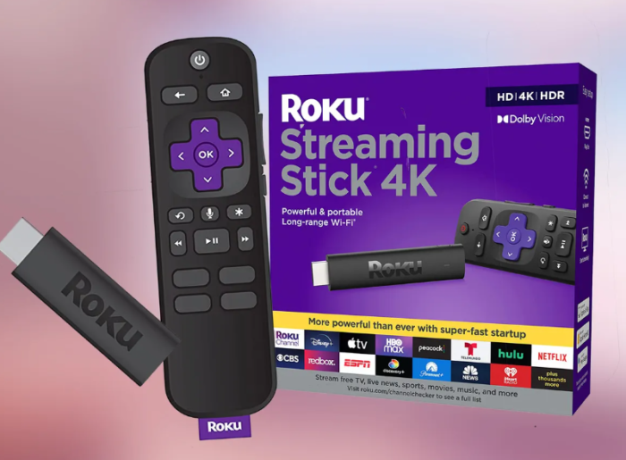 Roku Streaming Stick 4K - Image 2
