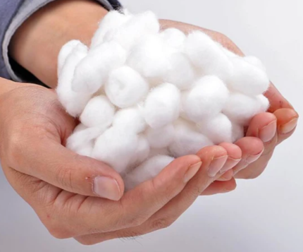 Cotton - Vital for the textile industry