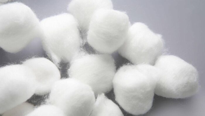 Cotton - Vital for the textile industry