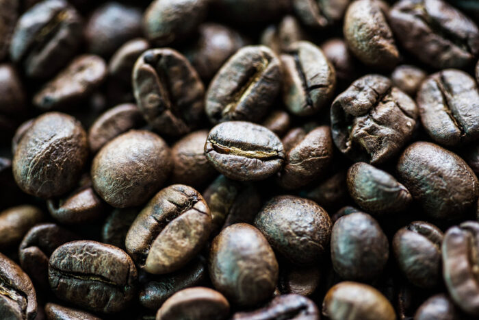 Black Ivory Coffee (Elephant Dung Coffee) - Image 2