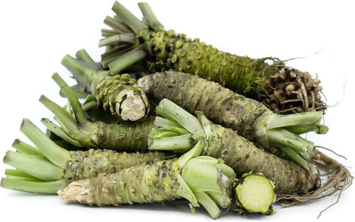 Wasabi Root (Fresh Japanese Wasabi)