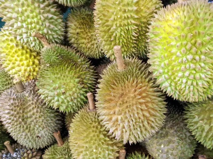 Durian (Southeast Asian Fruit) - Image 10