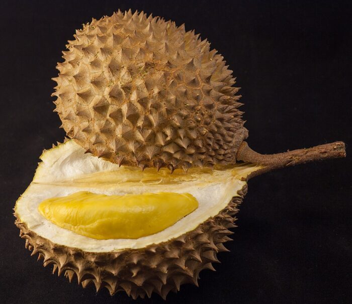 Durian (Southeast Asian Fruit)