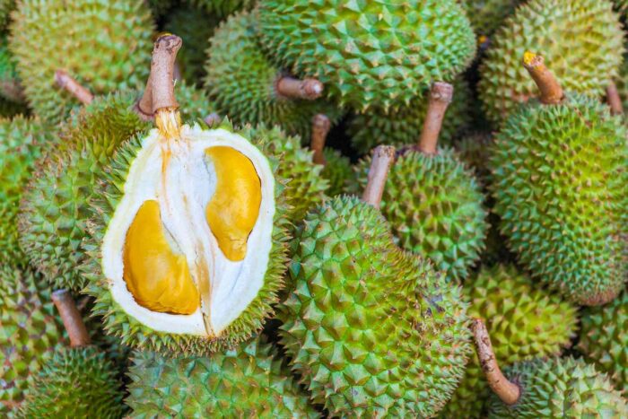 Durian (Southeast Asian Fruit) - Image 4