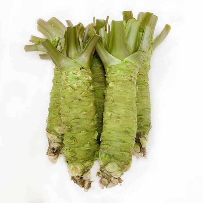 Wasabi Root (Fresh Japanese Wasabi) - Image 3