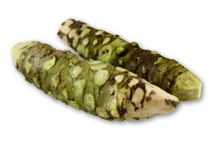 Wasabi Root (Fresh Japanese Wasabi) - Image 4