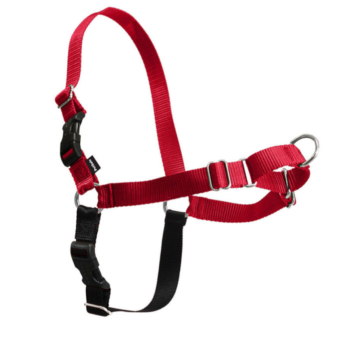 PetSafe Easy Walk Dog Harness - Image 2