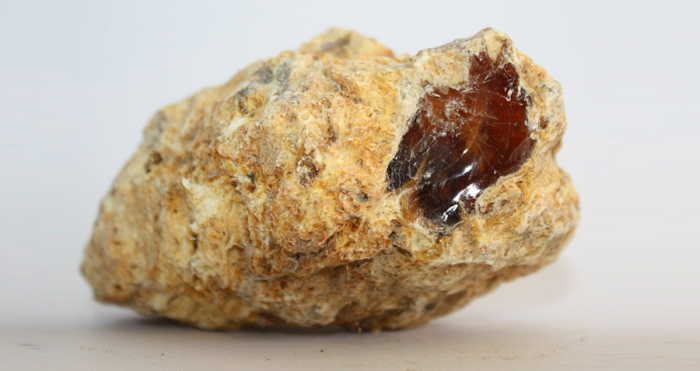 Ambergris (Whale Vomit)