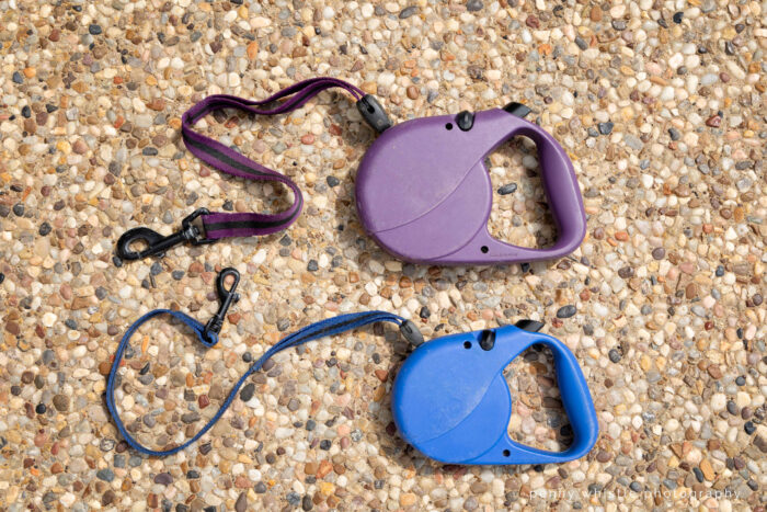 Flexi Classic Retractable Dog Leash - Image 2