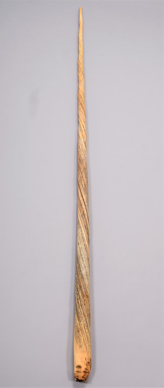 Narwhal Tusk (Rare Collectible) - Image 3