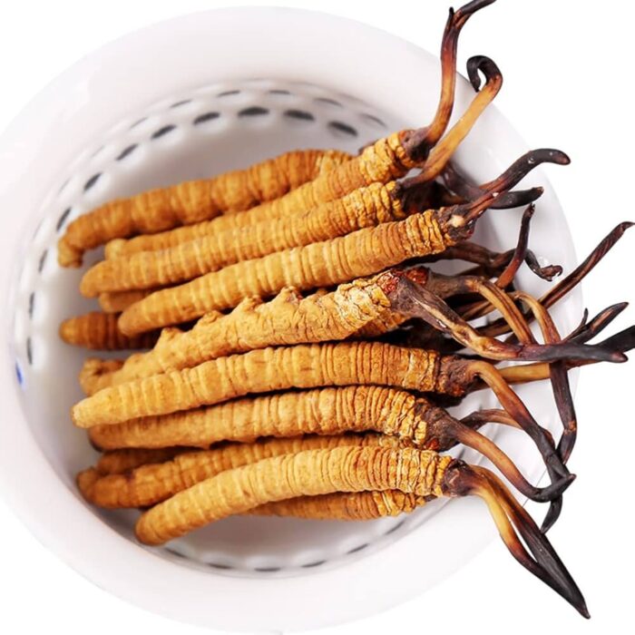 Cordyceps Sinensis (Caterpillar Fungus) - Image 2