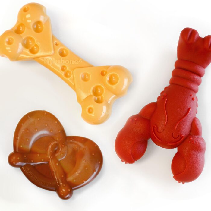 Nylabone Power Chew Dog Toy - Image 5