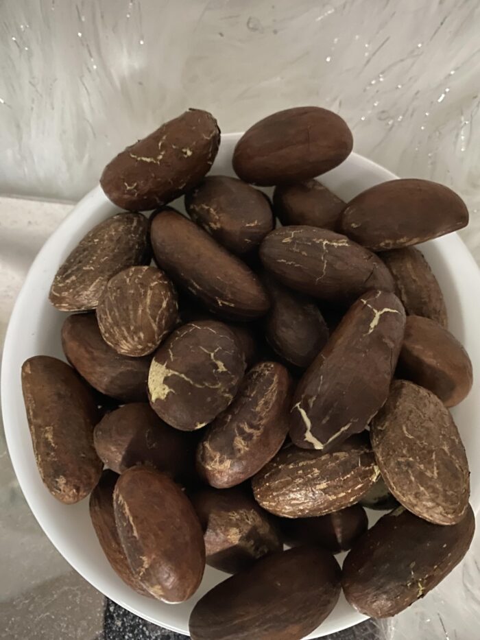 Kola Nut (West African Energy Nut) - Image 2