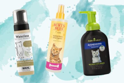 Vet's Best Waterless Cat Bath