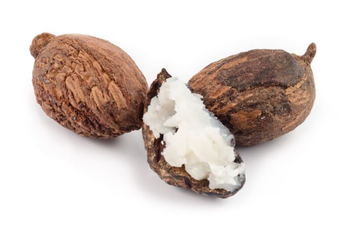 Shea Butter (African Shea Tree) - Image 3
