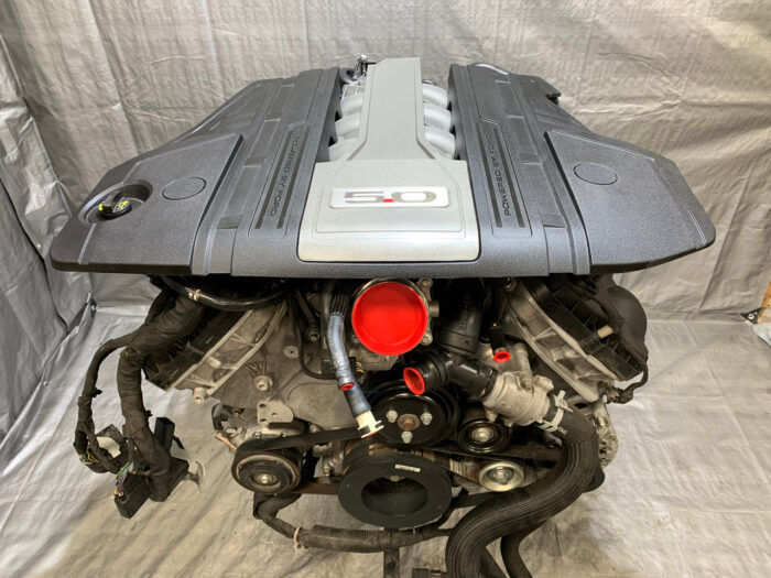 Ford Coyote 5.0L V8 (Used/Brand New) - Image 3