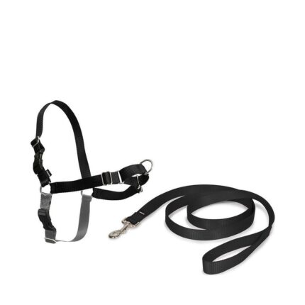 PetSafe Easy Walk Dog Harness