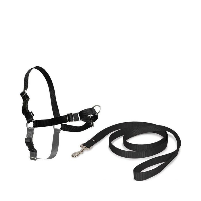 PetSafe Easy Walk Dog Harness