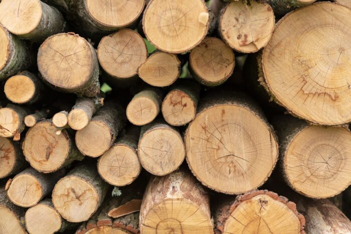 European Oak Timber - Image 6