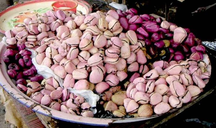 Kola Nut (West African Energy Nut)