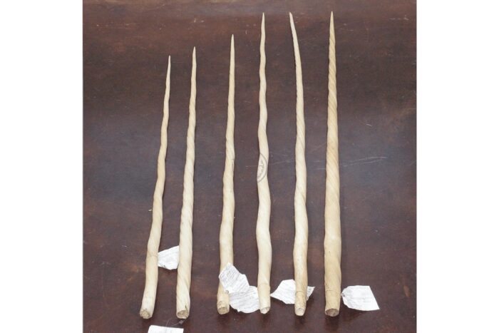Narwhal Tusk (Rare Collectible)