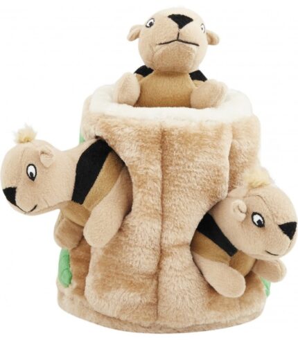 Outward Hound Hide-A-Squirrel Puzzle Toy