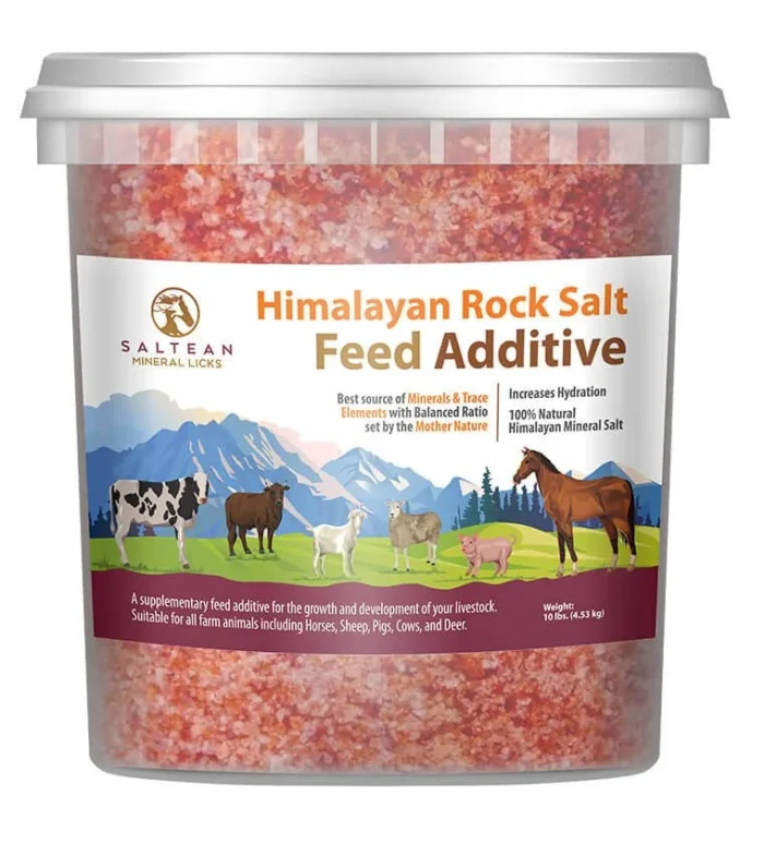 Salt animal feed Licks - Image 2