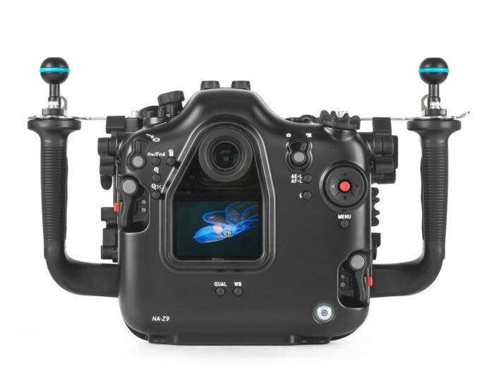 Nikon Z9 - Image 3