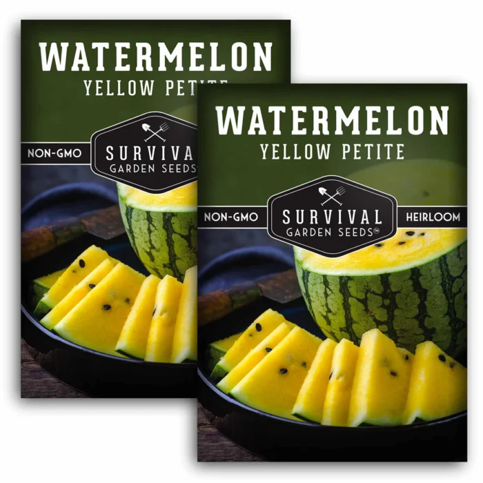 Watermelon Seeds - Image 2