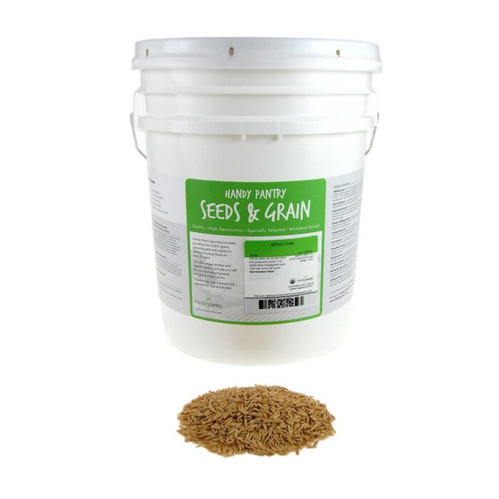 Oat Feed - Image 3