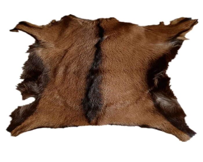 Hides - Image 2