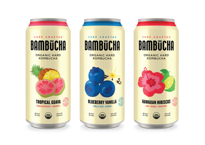 Hard Kombucha - Image 7