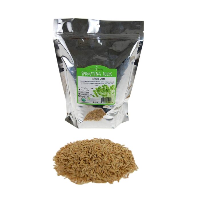 Oat Feed - Image 4