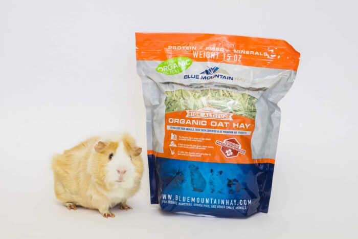 Oat Feed - Image 6