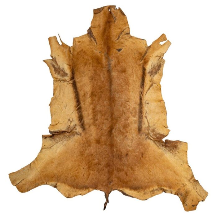Hides - Image 4