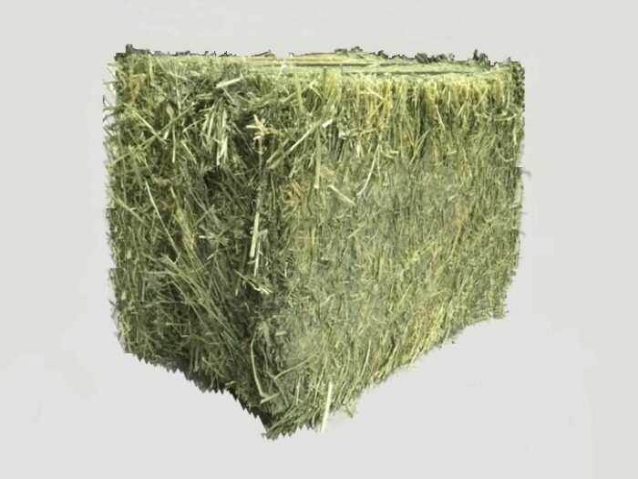 Alfalfa Hay - Image 4