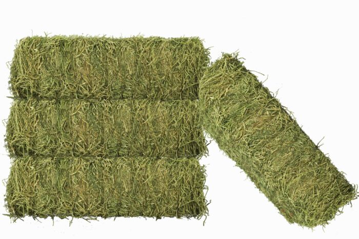 Alfalfa Hay - Image 8