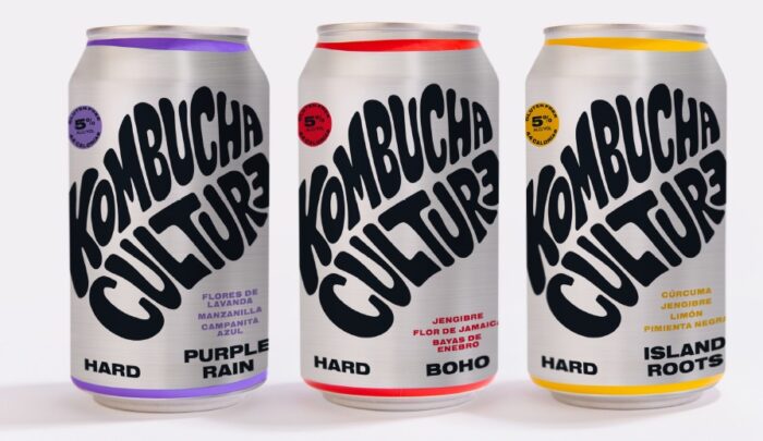 Hard Kombucha - Image 12