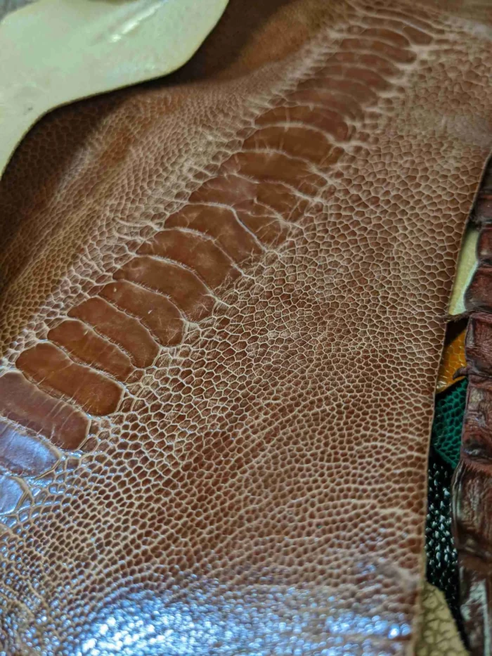 Exotic Leathers (e.g., Crocodile, Ostrich) - Image 10