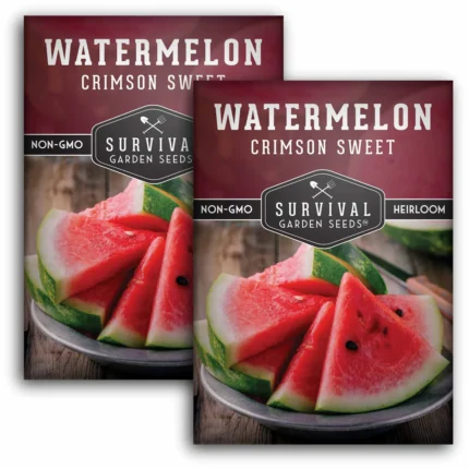 Watermelon Seeds