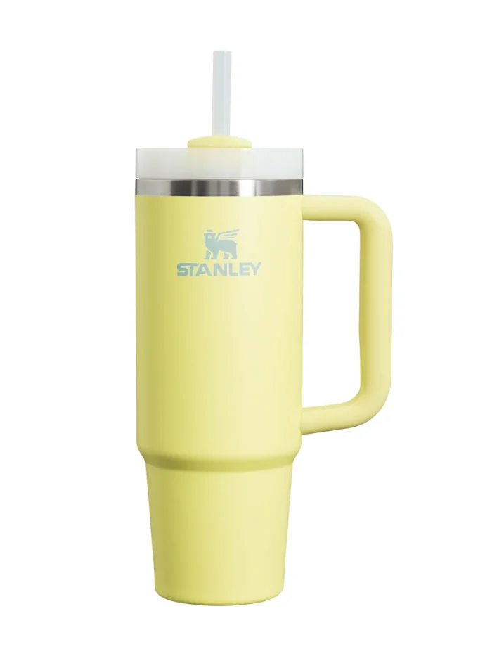 Stanley Quencher - Image 11