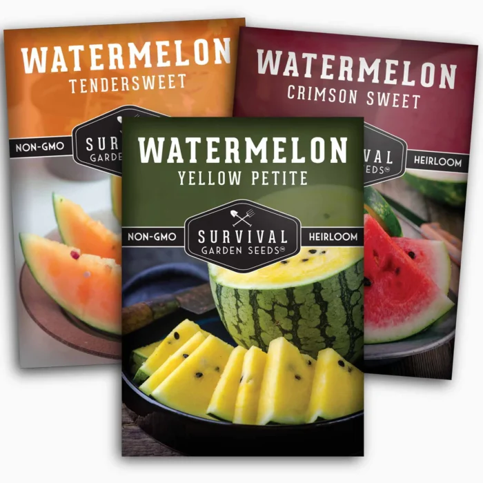 Watermelon Seeds - Image 11