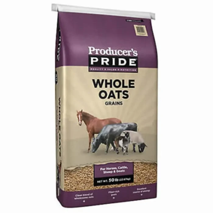 Oat Feed - Image 16