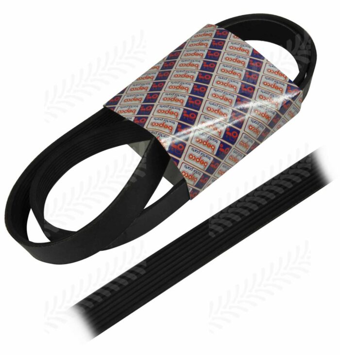 Case IH Fan Belt - Image 8