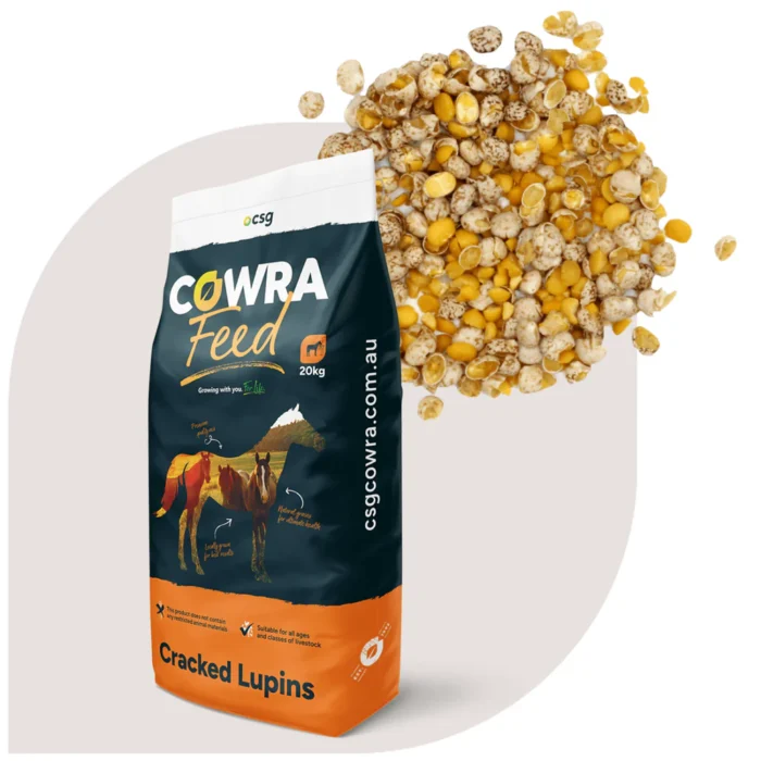 Flaxseed Meal - Image 9