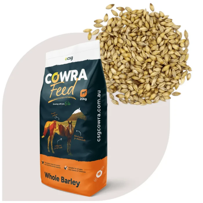 Barley Feed - Image 7