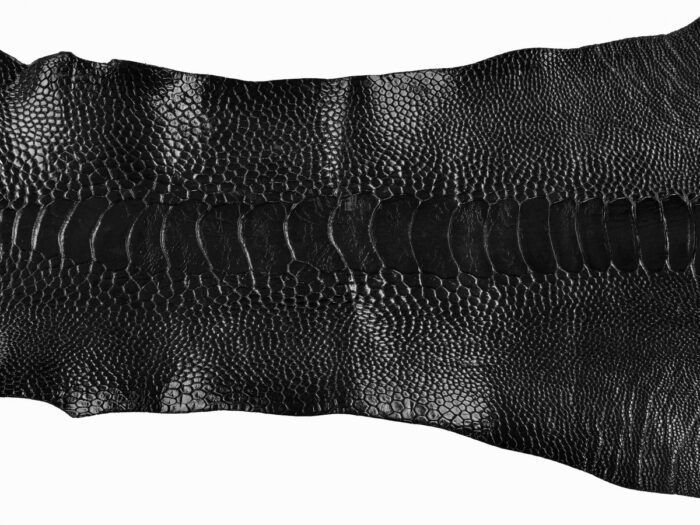 Exotic Leathers (e.g., Crocodile, Ostrich) - Image 6