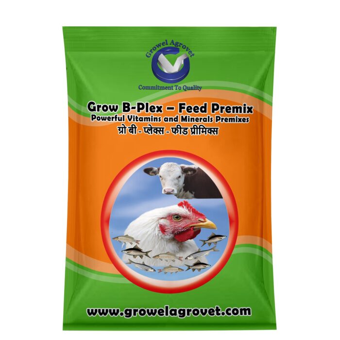 Vitamin-Enriched Premixes - Image 3