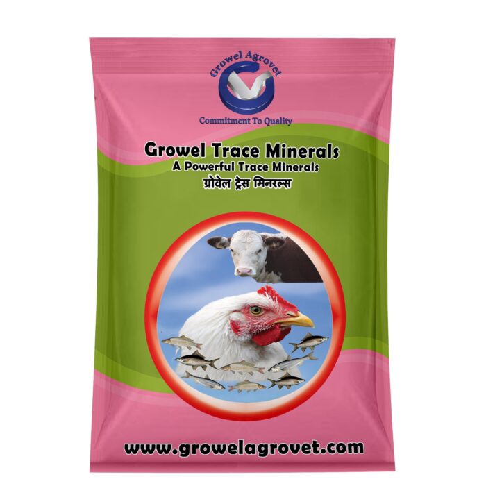 Vitamin-Enriched Premixes - Image 4