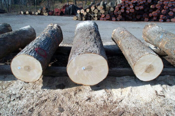 Hard Logs - Image 7